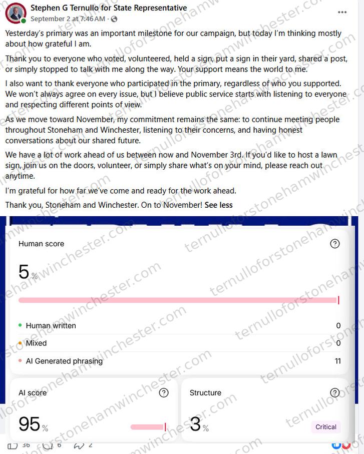 Facebook post from the "Stephen G Ternullo for State Representative" campaign page (Sep 2 at 7:46AM), with an AI-detection browser extension's "Deep Analysis report" overlaid on top of it. Post text: "Yesterday's primary was an important milestone for our campaign, but today I'm thinking mostly about how grateful I am. Thank you to everyone who voted, volunteered, held a sign, put a sign in their yard, shared a post, or simply stopped to talk with me along the way. Your support means the world to me. I also want to thank everyone who participated in the primary, regardless of who you supported. We won't always agree on every issue, but I believe public service starts with listening to everyone and respecting different points of view. As we move toward November, my commitment remains the same: to continue meeting people throughout Stoneham and Winchester, listening to their concerns, and having honest conversations about our shared future. We have a lot of work ahead of us between now and November 3rd. If you'd like to host a lawn sign, join us on the doors, volunteer, or simply share what's on your mind, please reach out anytime. I'm grateful for how far we've come and ready for the work ahead. Thank you, Stoneham and Winchester. On to November!" The overlaid "Deep Analysis report" reads: Human score 5%, with a breakdown of "Human written" 0, "Mixed" 0, and "AI Generated phrasing" 11; AI score 95%; Structure 3% (flagged "Critical").
