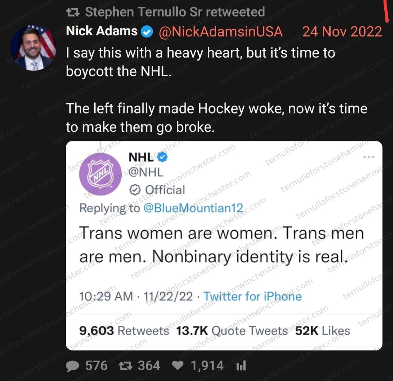 Screenshot of a tweet retweeted by Stephen Ternullo Sr. Nick Adams (@NickAdamsinUSA, verified), Nov 24, 2022: "I say this with a heavy heart, but it's time to boycott the NHL. The left finally made Hockey woke, now it's time to make them go broke." Quoted below is a tweet from the NHL's official account (@NHL), replying to @BlueMountian12: "Trans women are women. Trans men are men. Nonbinary identity is real." (10:29 AM, 11/22/22, via Twitter for iPhone). No redactions appear in the image.